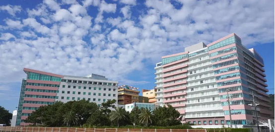 日本龟田综合医院